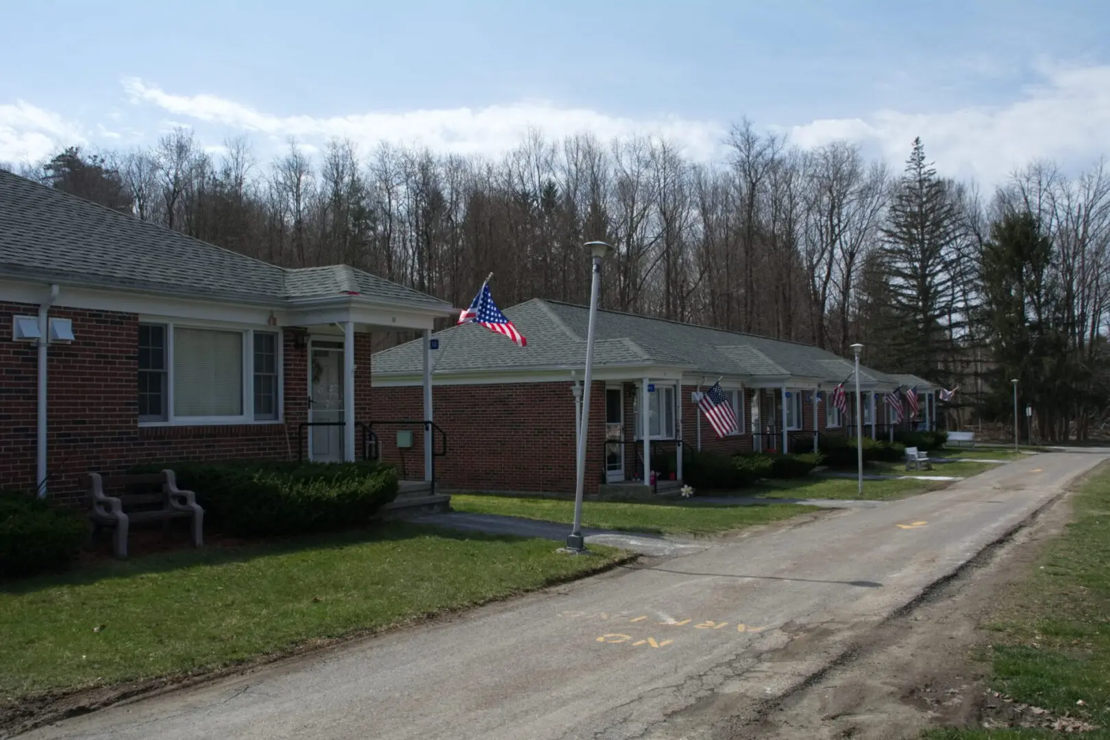 A row of houses with trees in the background.